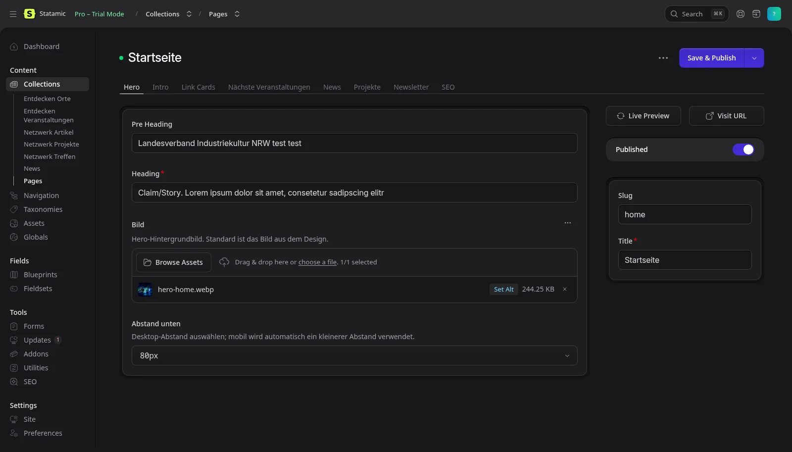 Das Statamic Control Panel